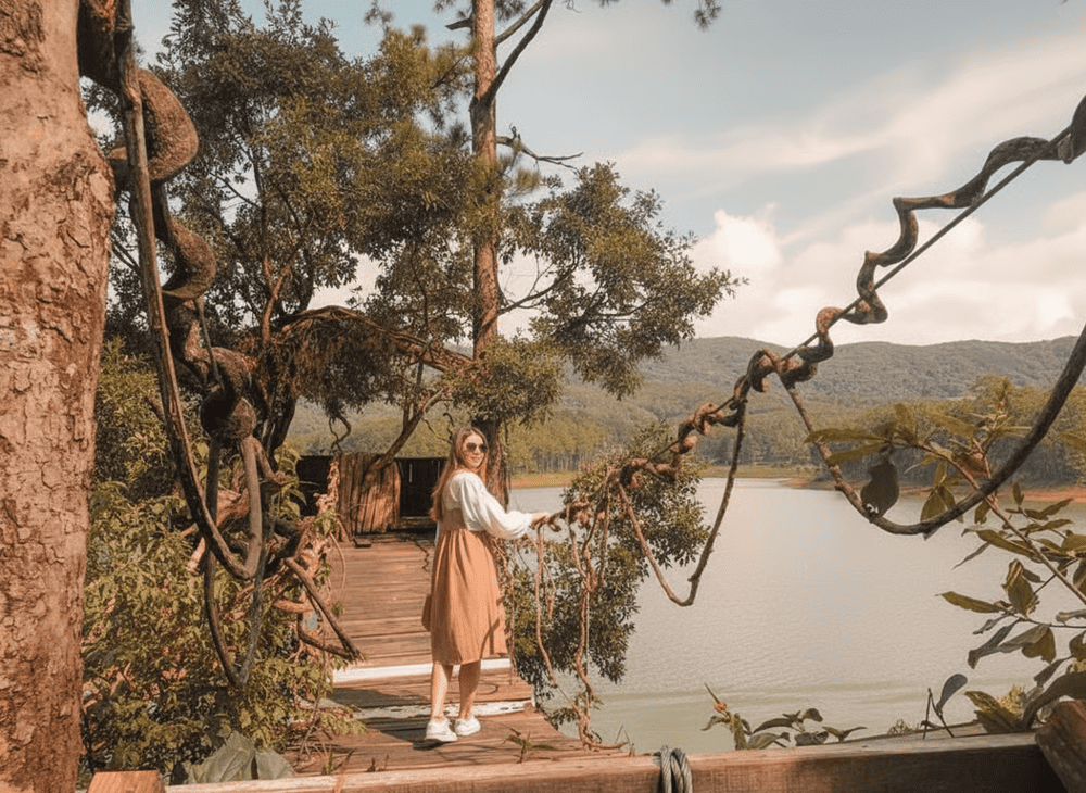 Chiếc cầu treo nhỏ xinh bắc qua rừng th&ocirc;ng tạo n&ecirc;n một background chụp ảnh hoang sơ m&agrave; đầy cuốn h&uacute;t